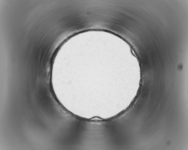 X0000090501126200707272356