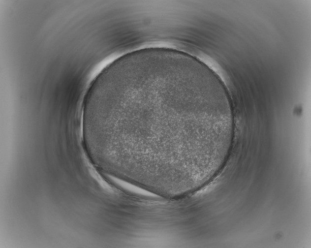 X0000090501127200707272356