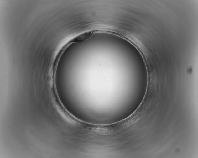 X0000090501128200707272356