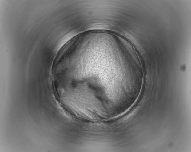 X0000090501129200707272356