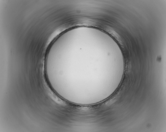 X0000090501130200707272356