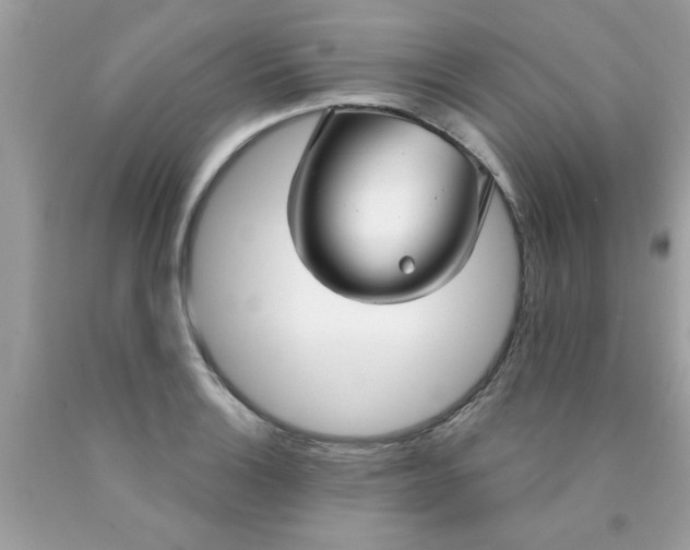 X0000090501132200707272356