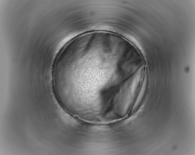 X0000090501133200707272356