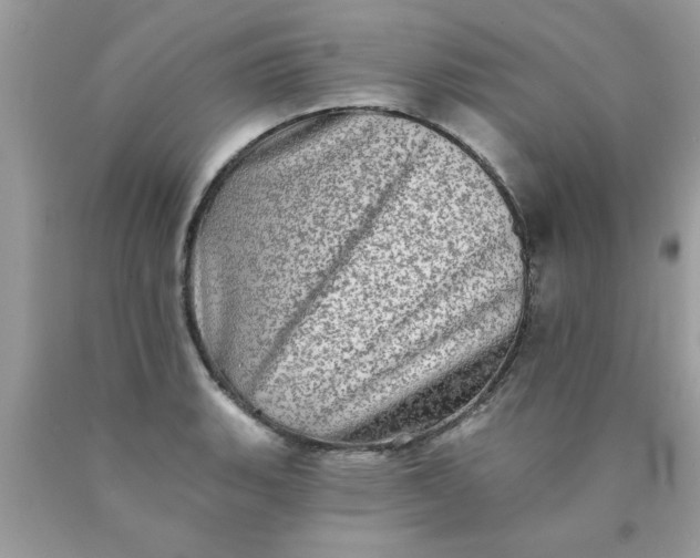 X0000090501135200707272356