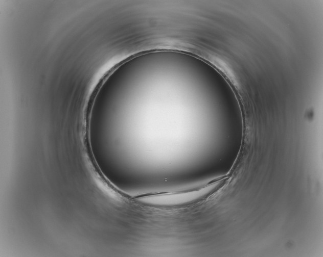 X0000090501136200707272356