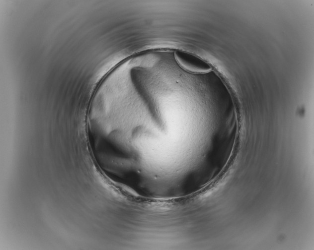 X0000090501137200707272356