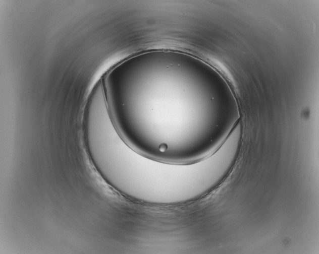 X0000090501138200707272356