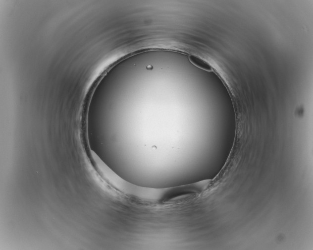 X0000090501139200707272356