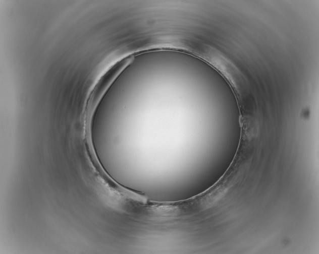 X0000090501140200707272356