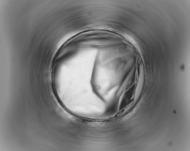 X0000090501141200707272356