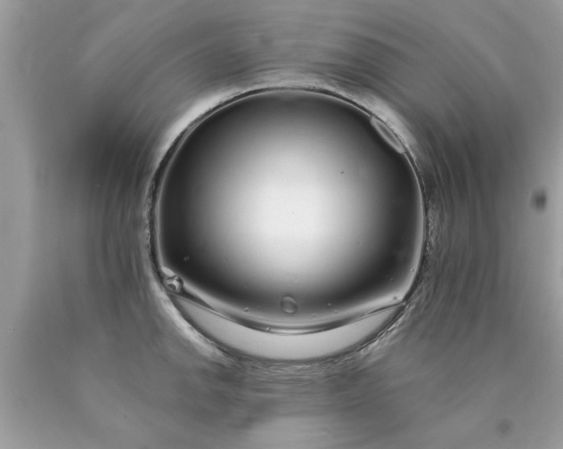 X0000090501142200707272356