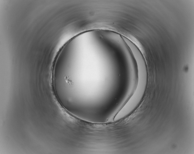 X0000090501144200707272356