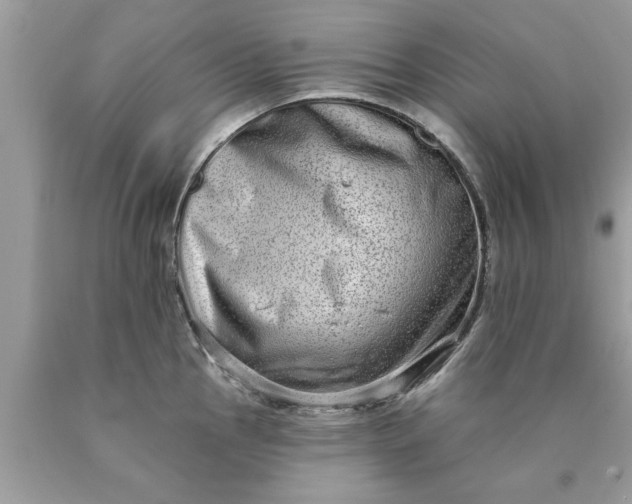 X0000090501145200707272356