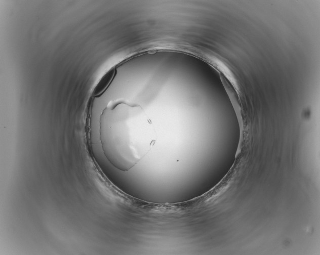 X0000090501146200707272356