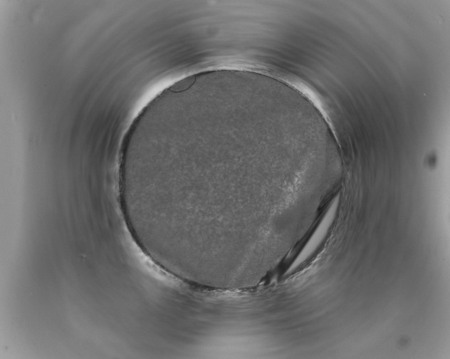 X0000090501147200707272356