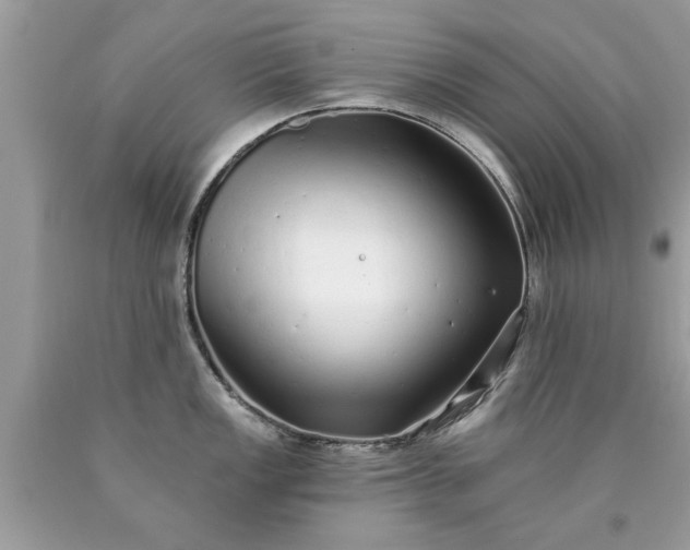 X0000090501149200707272356