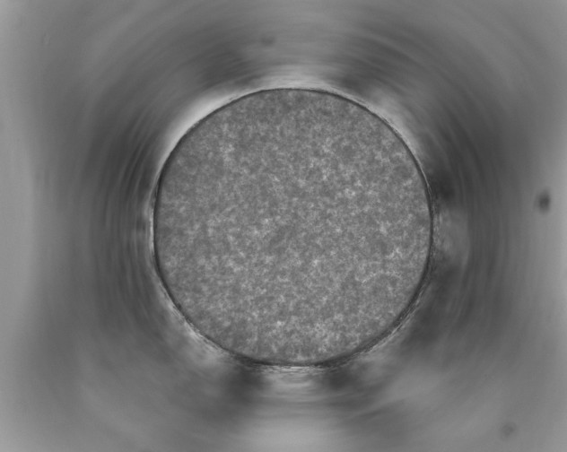 X0000090501150200707272356