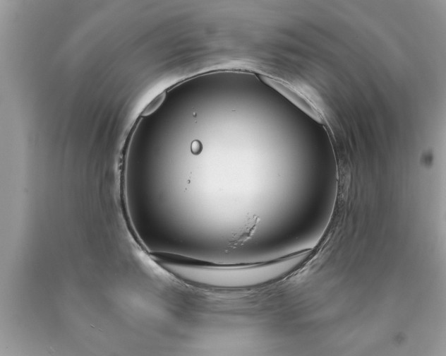 X0000090501151200707272356