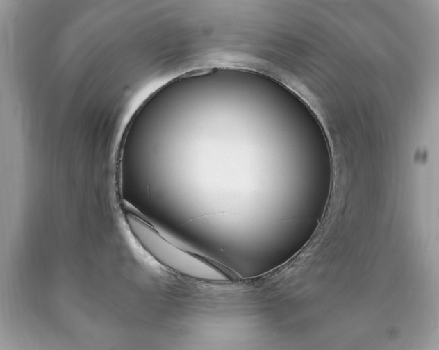 X0000090501152200707272356