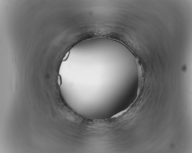 X0000090501153200707272356