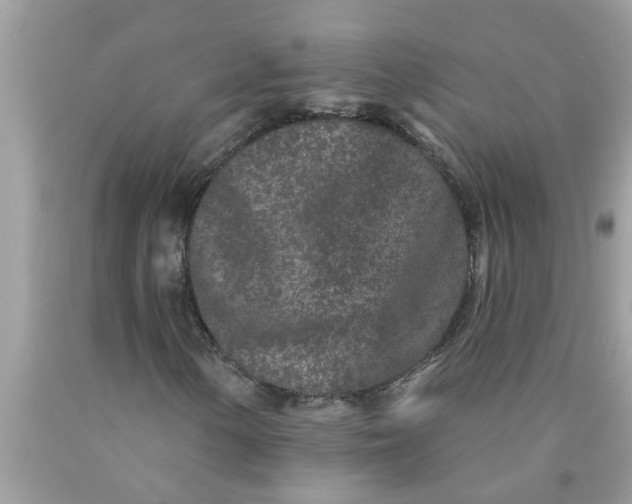 X0000090501154200707272356