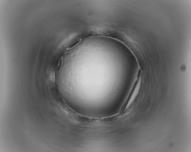 X0000090501155200707272356