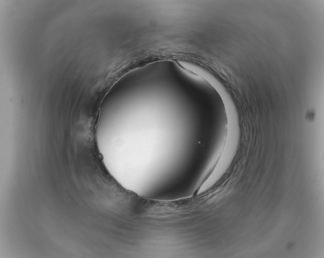 X0000090501156200707272356