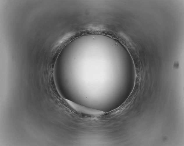 X0000090501157200707272356