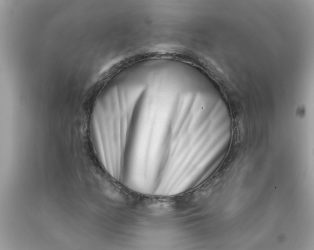 X0000090501158200707272356