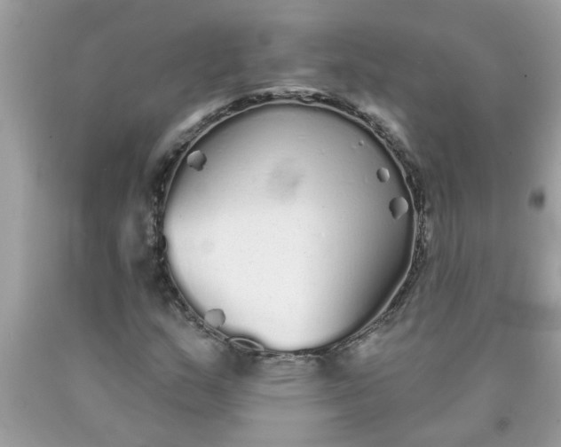 X0000090501159200707272356