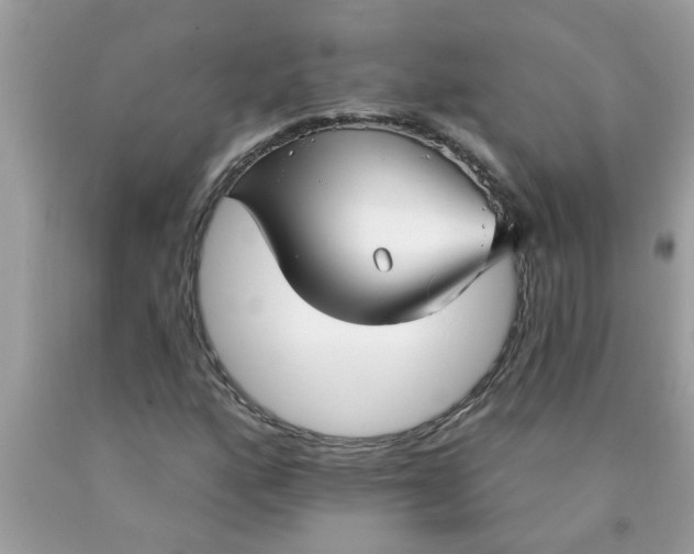 X0000090501160200707272356