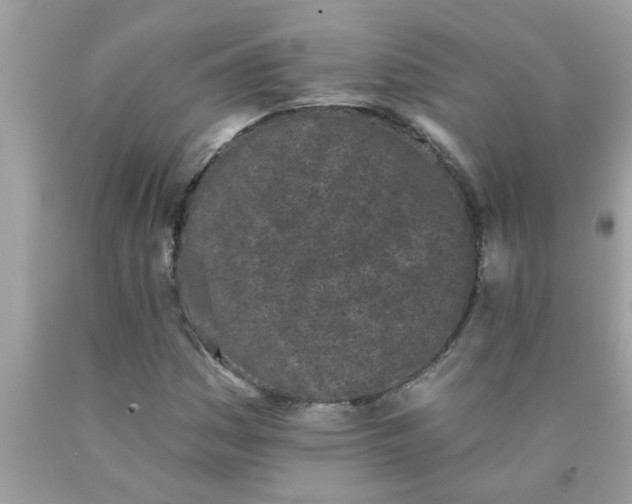 X0000090501161200707272356