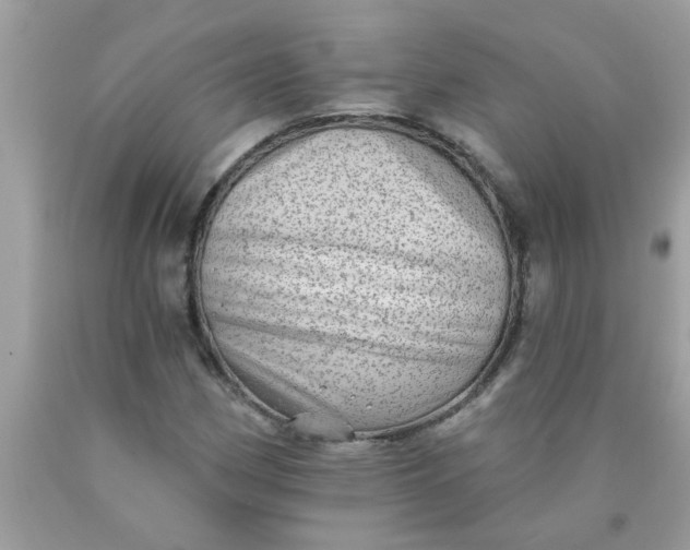 X0000090501162200707272356