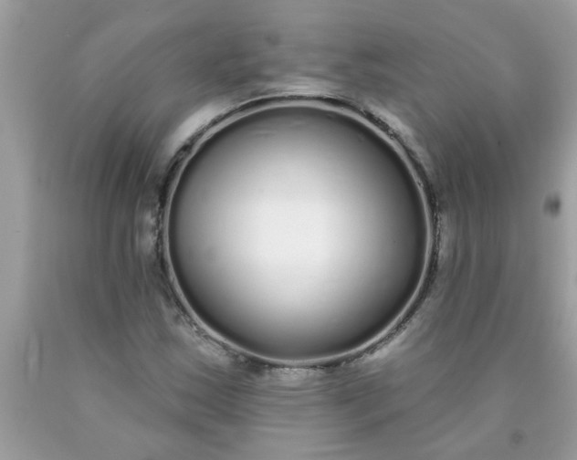 X0000090501163200707272355