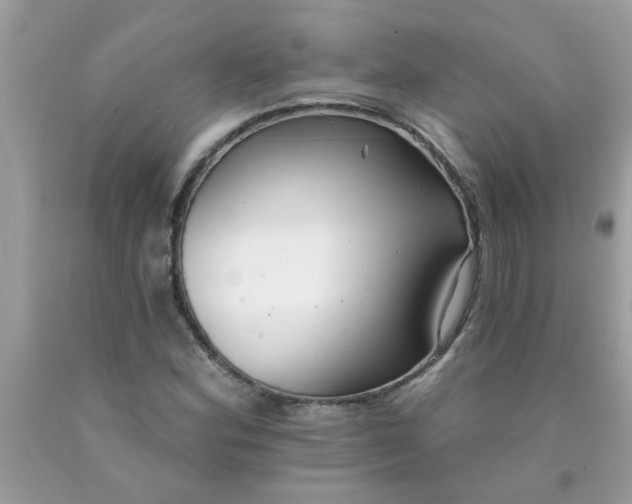 X0000090501164200707272355