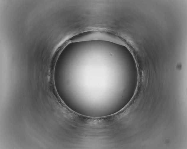 X0000090501165200707272355