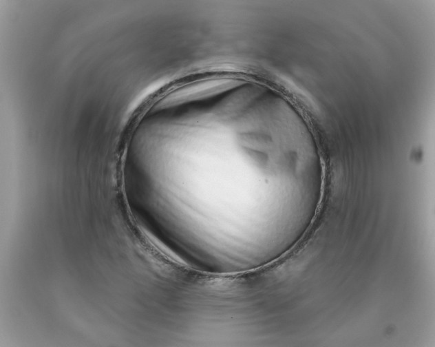 X0000090501166200707272355