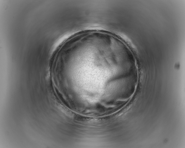 X0000090501167200707272355