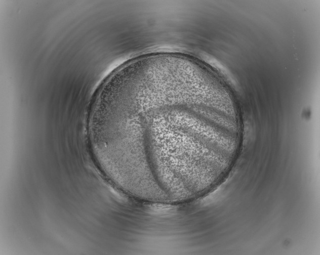 X0000090501170200707272355