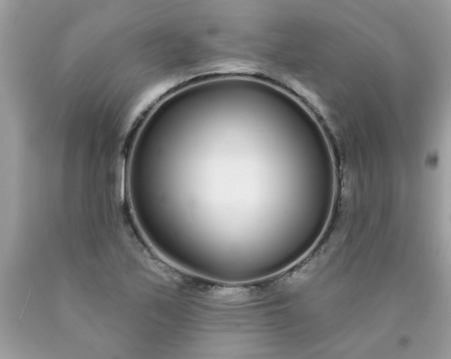 X0000090501171200707272355