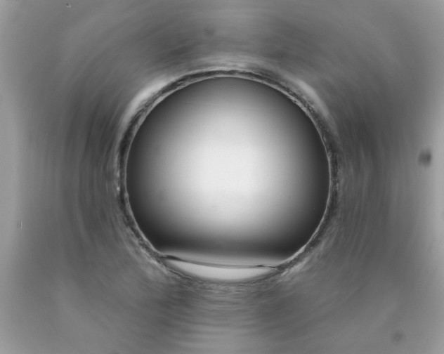 X0000090501172200707272355