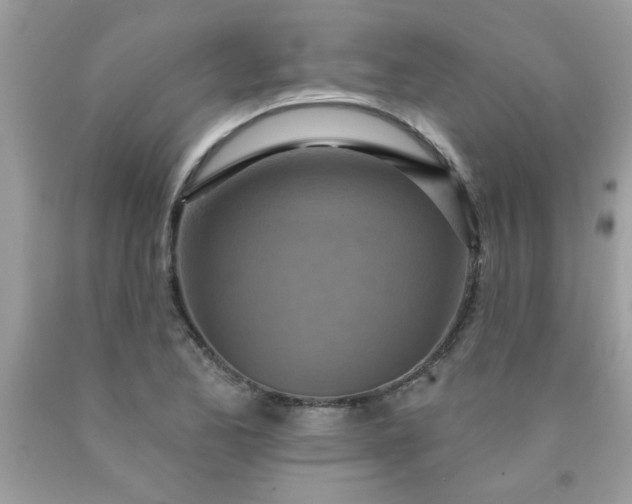 X0000090501173200707272355