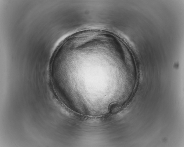 X0000090501174200707272355