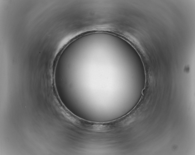 X0000090501176200707272355