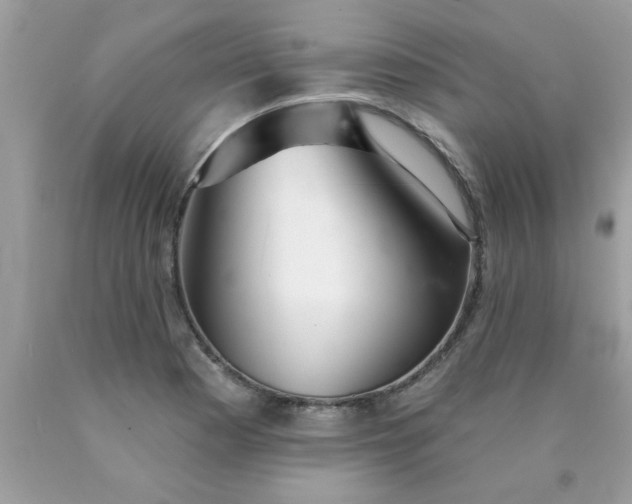 X0000090501177200707272355