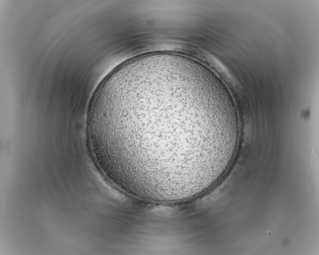 X0000090501178200707272355