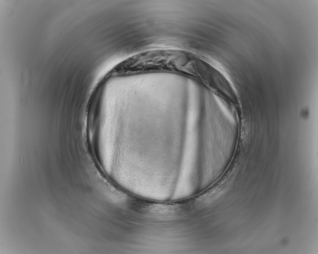 X0000090501179200707272355