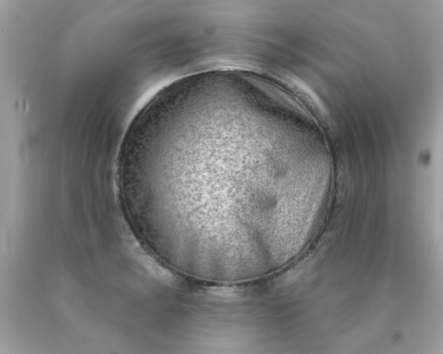 X0000090501182200707272355