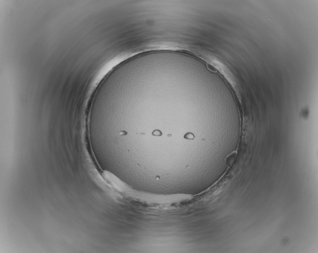 X0000090501187200707272355