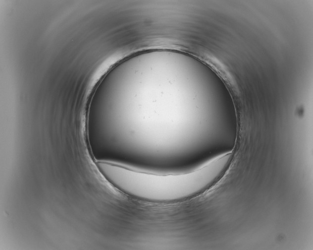 X0000090501188200707272355